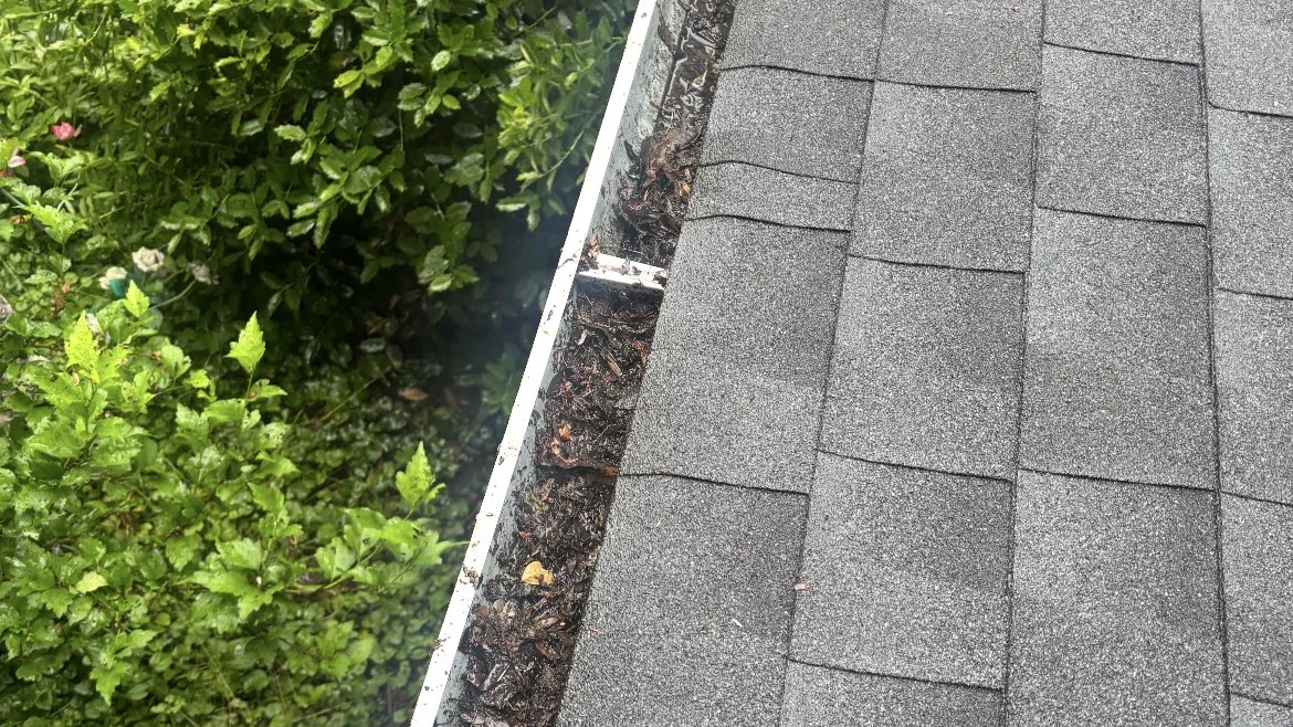 A real Gutter Bandits job in Roosevelt, NJ: a gutter packed with debris before cleaning