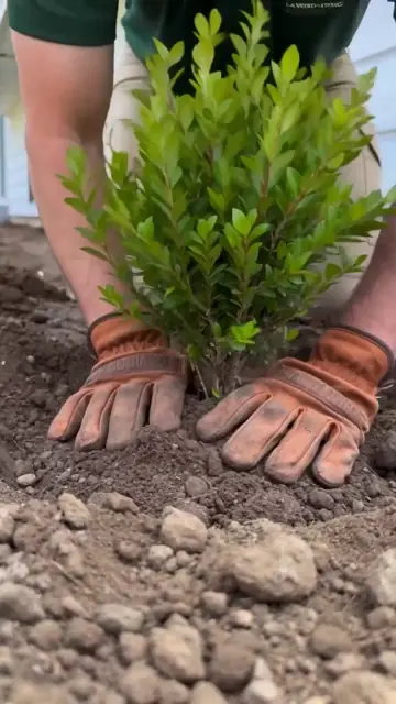 Perry Landscaping — Landscape Design reel by Atlas Studio