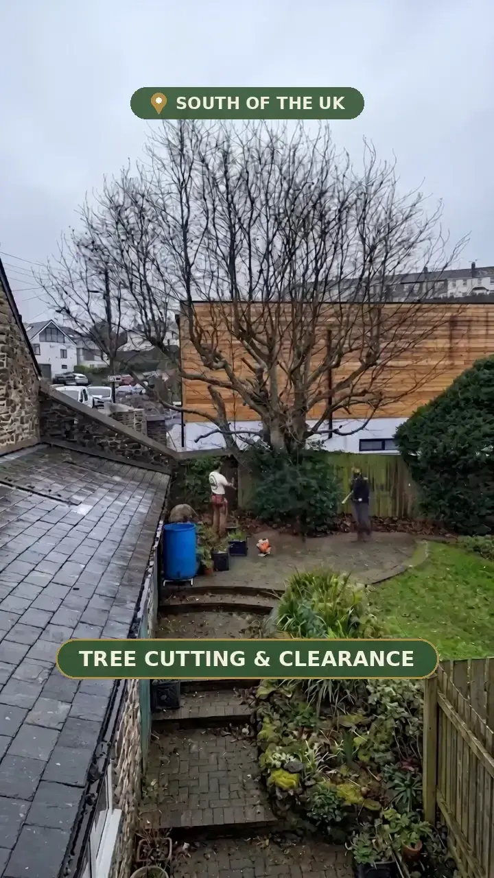 Stephenson Tree Surgery, Tree Service reel by Atlas Studio